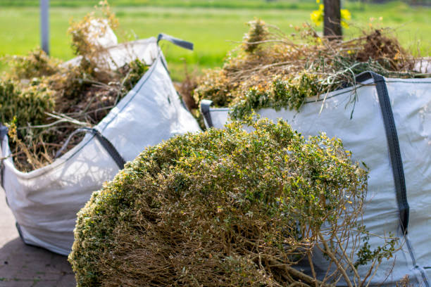Trusted Greenville, OH Junk Removal Experts